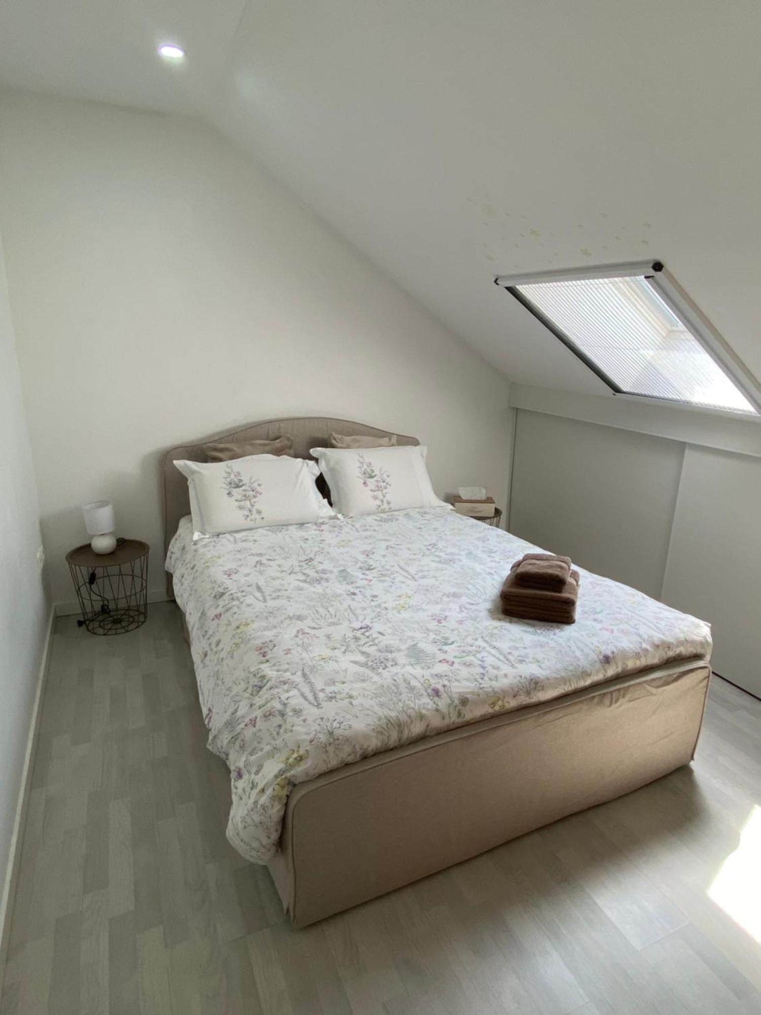 Next2airport - House Of Lions Apartamento